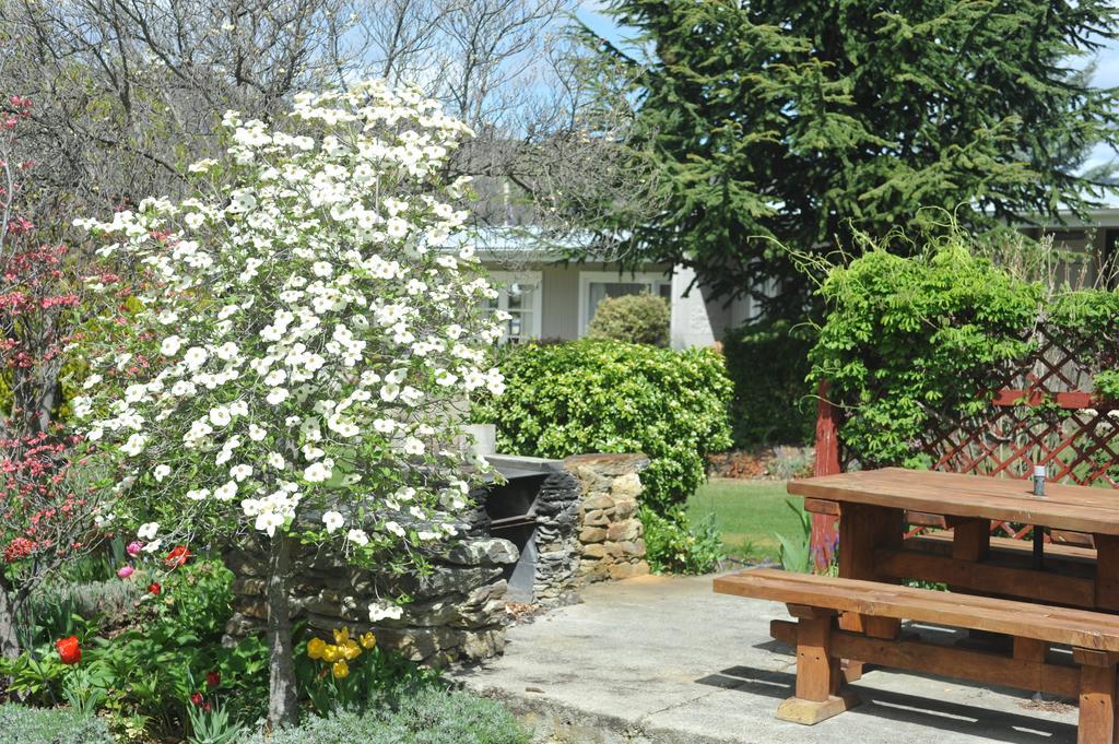 Alexandra Garden Court Motel מראה חיצוני תמונה