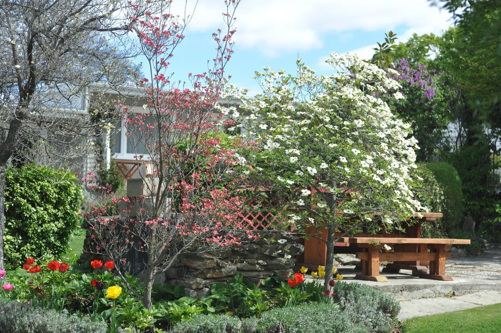 Alexandra Garden Court Motel מראה חיצוני תמונה